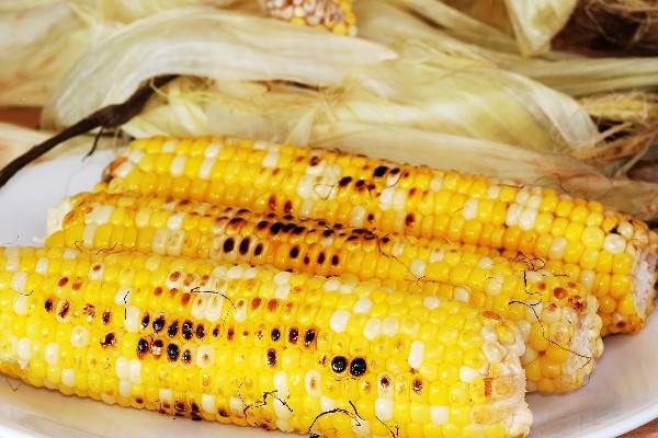 12 Recipes for a Fun Summer Barbeque | Summer Barbeque Recipes, Summer Recipes, Barbeque Side Dishes, Recipes,  Recipes for Dinner Easy 