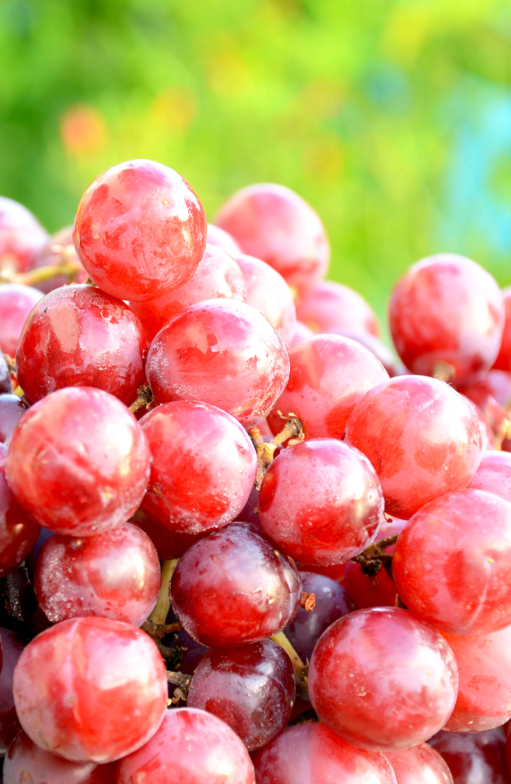 grapeful | summer | recipes | grapes | summer recipes | grape recipes | fruit 