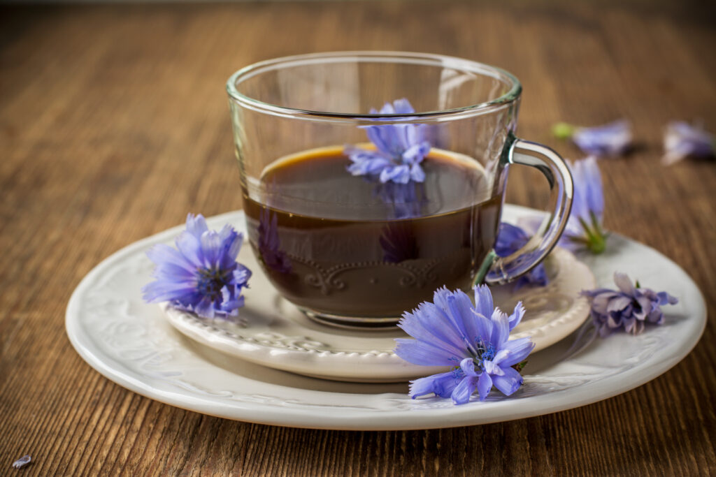 chicory root tea