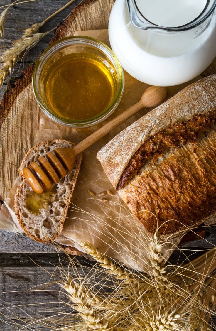 Out of yeast and have a hankering to bake some fresh bread? I've gathered up some of the best yeastless bread recipes to save the day. This honey wheat bread is to die for!